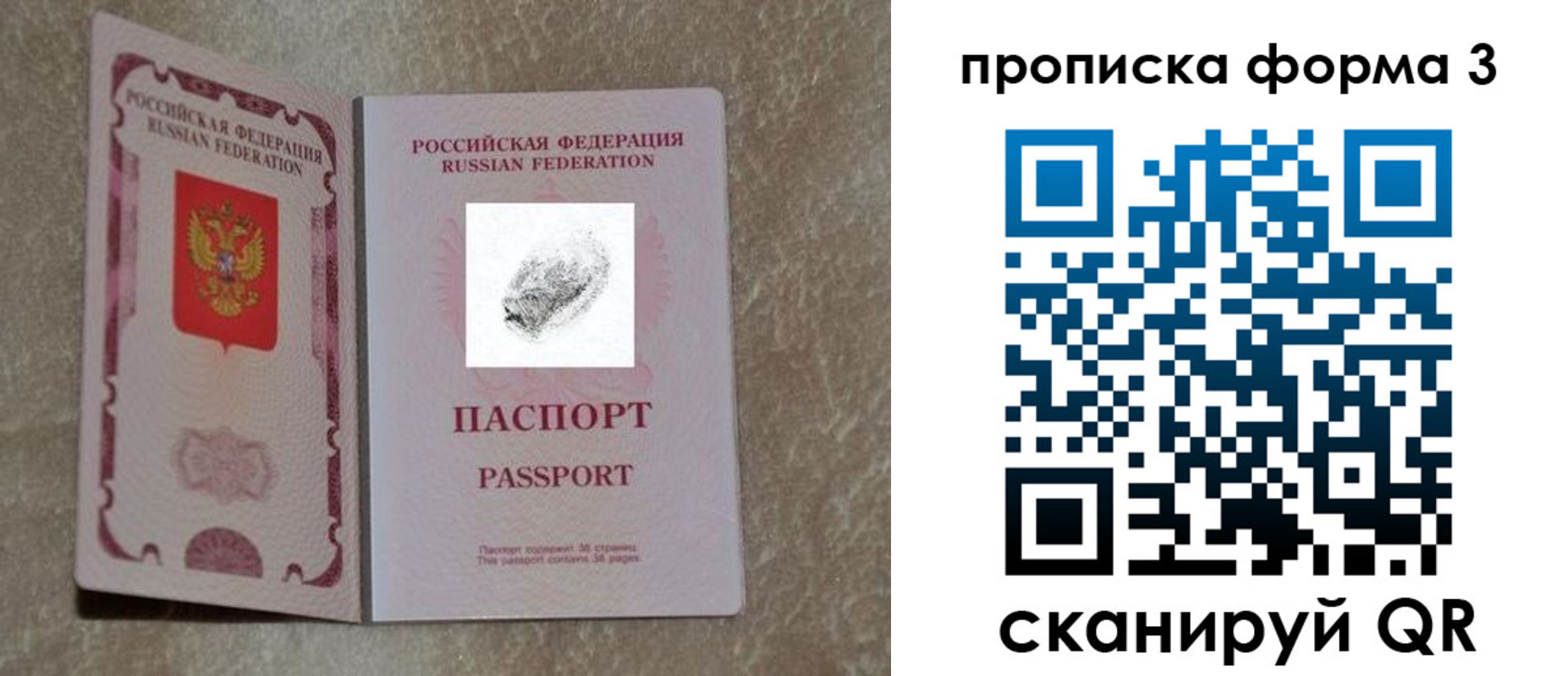 прописка гарантия в Октябрьском